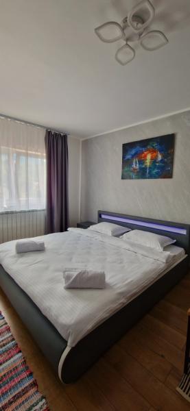 Pension APARTAMENT EREMIAS from Borsa, Maramureș picture 18