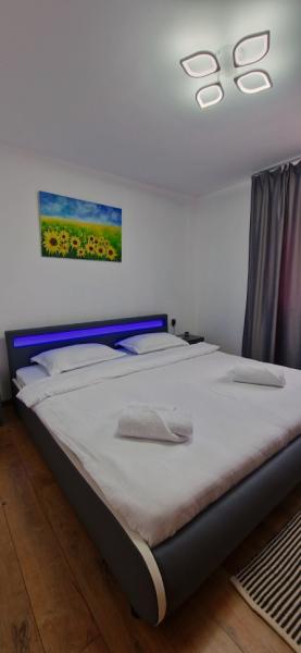 Pension APARTAMENT EREMIAS from Borsa, Maramureș picture 19