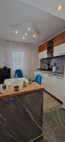 Pension APARTAMENT EREMIAS from Borsa, Maramureș picture 2
