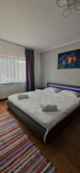 Pension APARTAMENT EREMIAS from Borsa, Maramureș picture 20