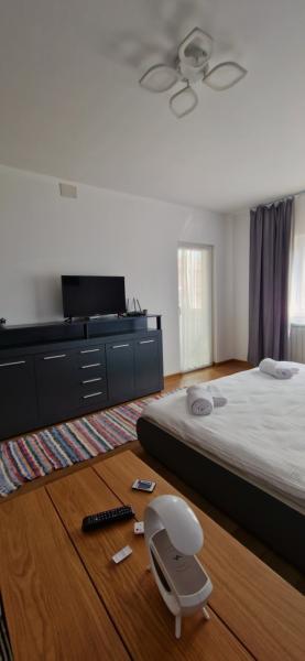 Pension APARTAMENT EREMIAS from Borsa, Maramureș picture 21