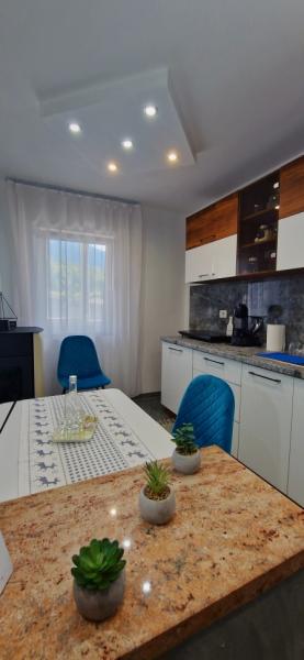 Pension APARTAMENT EREMIAS from Borsa, Maramureș picture 22
