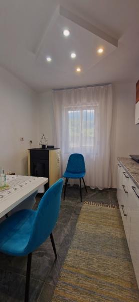 Pension APARTAMENT EREMIAS from Borsa, Maramureș picture 3