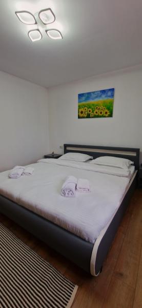 Pension APARTAMENT EREMIAS from Borsa, Maramureș picture 6