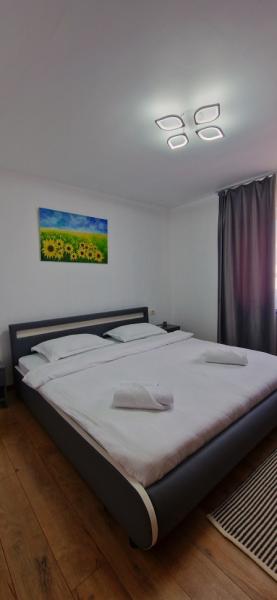 Pension APARTAMENT EREMIAS from Borsa, Maramureș picture 7