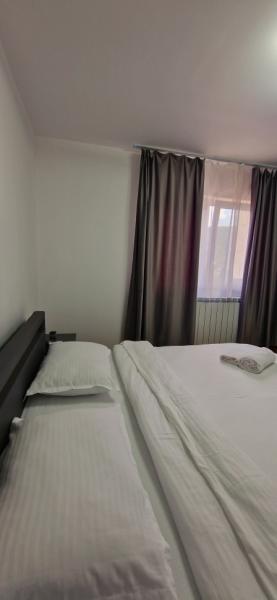 Pension APARTAMENT EREMIAS from Borsa, Maramureș picture 8