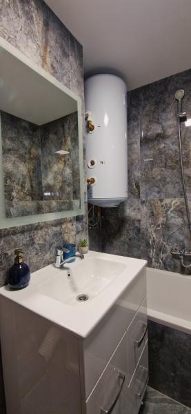 Pension APARTAMENT EREMIAS from Borsa, Maramureș picture 9