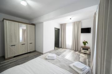 Pension CASA TIMIS from Viseu De Sus, Maramureș picture 14