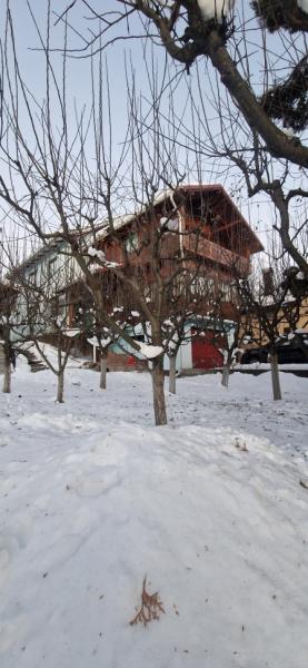 Pension PENSIUNEA ELENA from Borsa, Maramureș picture 10