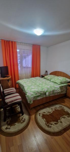 Pension PENSIUNEA ELENA from Borsa, Maramureș picture 14