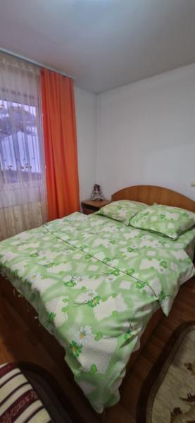 Pension PENSIUNEA ELENA from Borsa, Maramureș picture 15