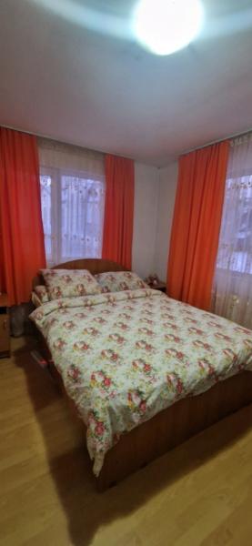 Pension PENSIUNEA ELENA from Borsa, Maramureș picture 16