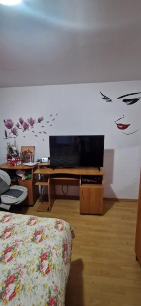 Pension PENSIUNEA ELENA from Borsa, Maramureș picture 17