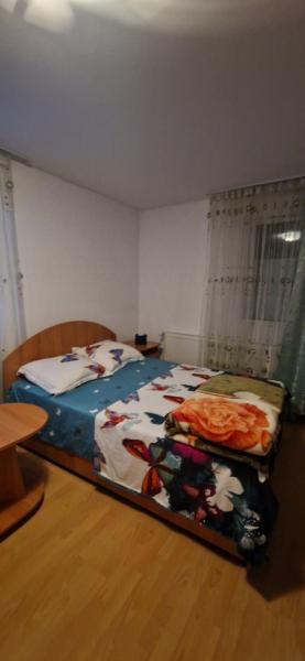 Pension PENSIUNEA ELENA from Borsa, Maramureș picture 20
