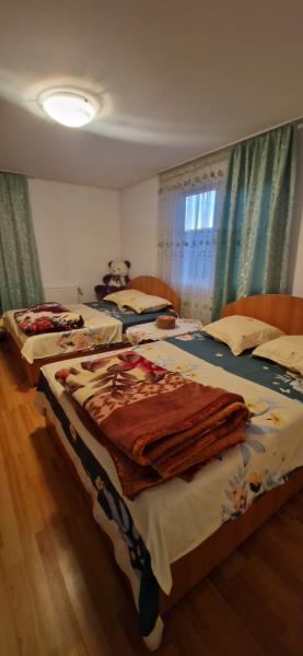 Pension PENSIUNEA ELENA from Borsa, Maramureș picture 21
