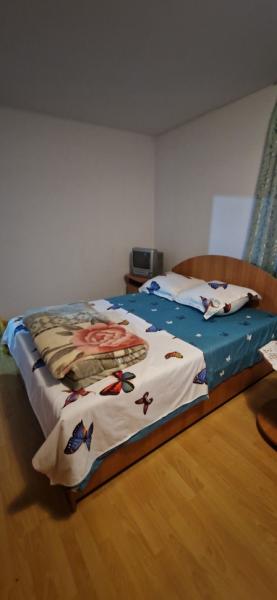 Pension PENSIUNEA ELENA from Borsa, Maramureș picture 22