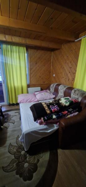 Pension PENSIUNEA ELENA from Borsa, Maramureș picture 25