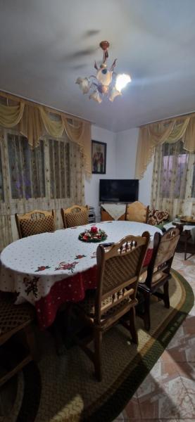 Pension PENSIUNEA ELENA from Borsa, Maramureș picture 29