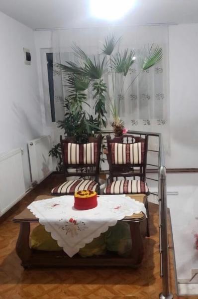 Pension PENSIUNEA ELENA from Borsa, Maramureș picture 4