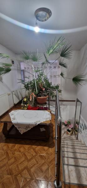 Pension PENSIUNEA ELENA from Borsa, Maramureș picture 6