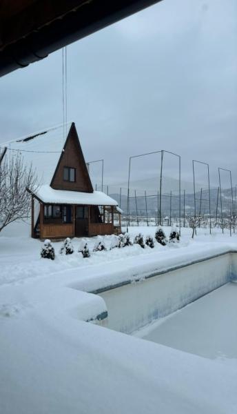 Pension PENSIUNEA FRATII PASCA from Barsana, Maramureș picture 13