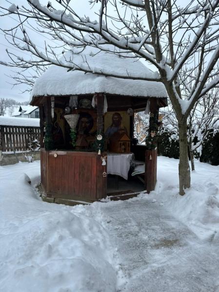 Pension PENSIUNEA FRATII PASCA from Barsana, Maramureș picture 18