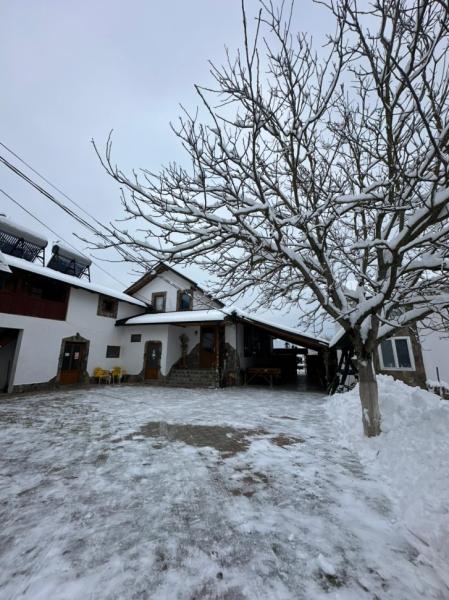 Pension PENSIUNEA FRATII PASCA from Barsana, Maramureș picture 23