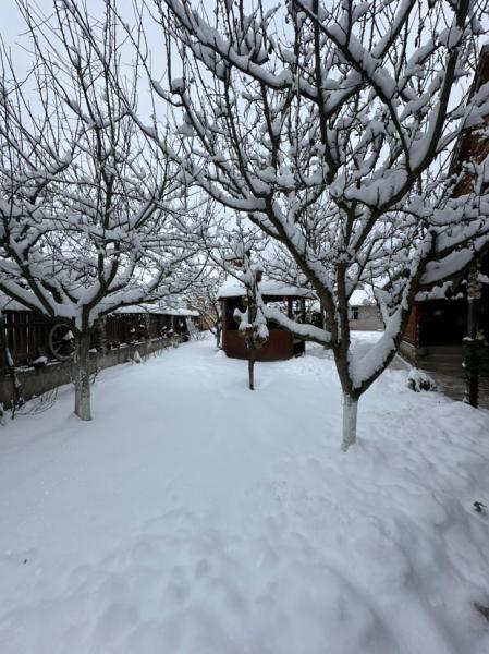 Pension PENSIUNEA FRATII PASCA from Barsana, Maramureș picture 29