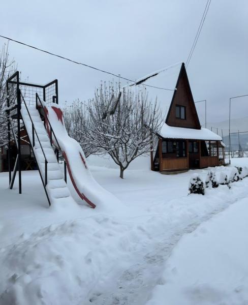 Pension PENSIUNEA FRATII PASCA from Barsana, Maramureș picture 30