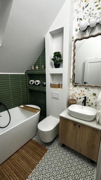 Cabin THE HOPE from Baia Mare  firiza, Maramureș picture 12