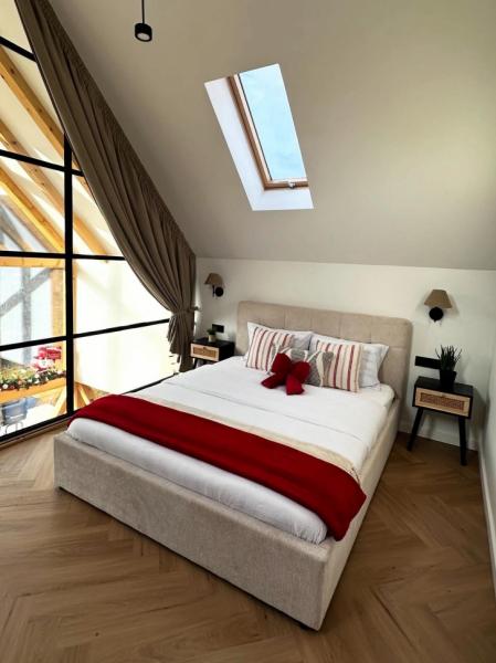 Cabin THE HOPE from Baia Mare  firiza, Maramureș picture 16