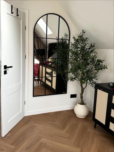 Cabin THE HOPE from Baia Mare  firiza, Maramureș picture 17