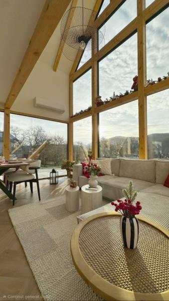 Cabin THE HOPE from Baia Mare  firiza, Maramureș picture 20