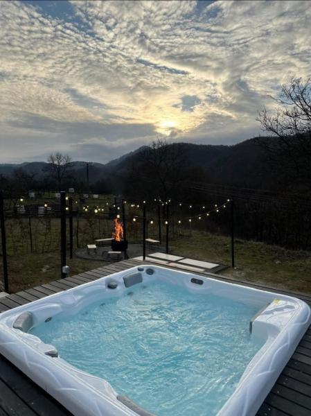 Cabin THE HOPE from Baia Mare  firiza, Maramureș picture 24