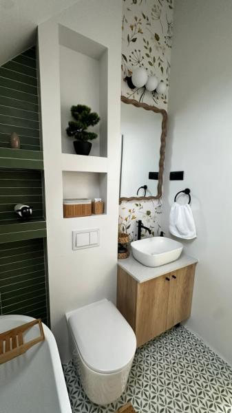 Cabin THE HOPE from Baia Mare  firiza, Maramureș picture 8