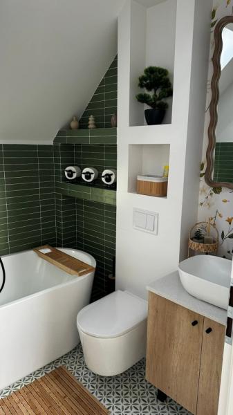 Cabin THE HOPE from Baia Mare  firiza, Maramureș picture 9