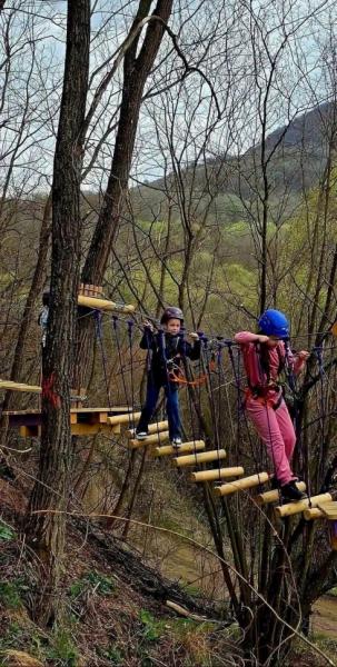 Entertainment ZUM ZET LAND from Dragomiresti, Maramureș picture 2