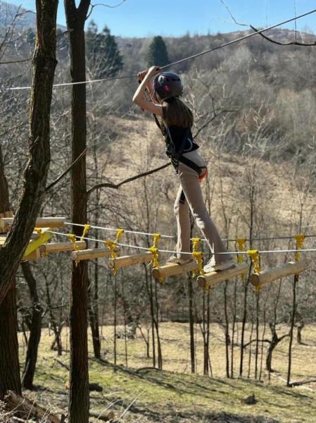 Entertainment ZUM ZET LAND from Dragomiresti, Maramureș picture 4