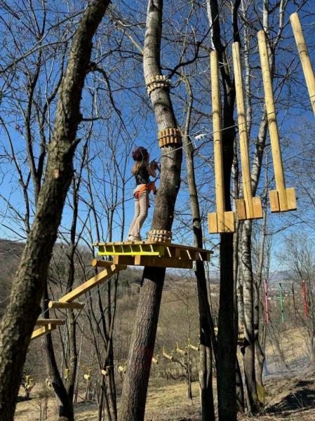 Entertainment ZUM ZET LAND from Dragomiresti, Maramureș picture 7