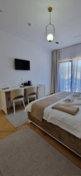 Hotel LEO RESORT SPA from Petrova, Maramureș picture 26