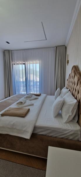 Hotel LEO RESORT SPA from Petrova, Maramureș picture 27