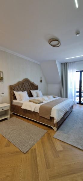 Hotel LEO RESORT SPA from Petrova, Maramureș picture 37