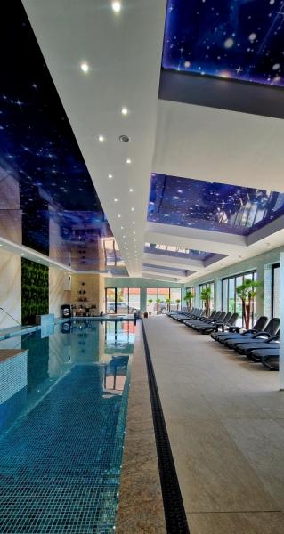 Hotel LEO RESORT SPA from Petrova, Maramureș picture 7