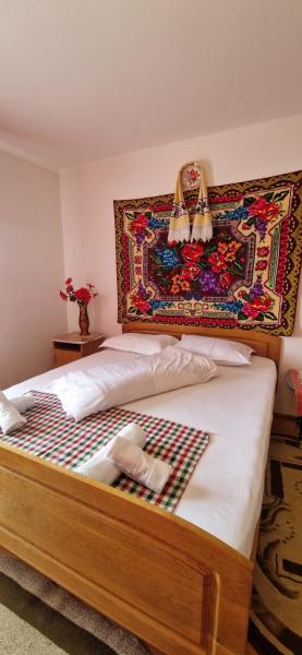 Pension VASILICA CETERASU from Oncesti, Maramureș picture 26