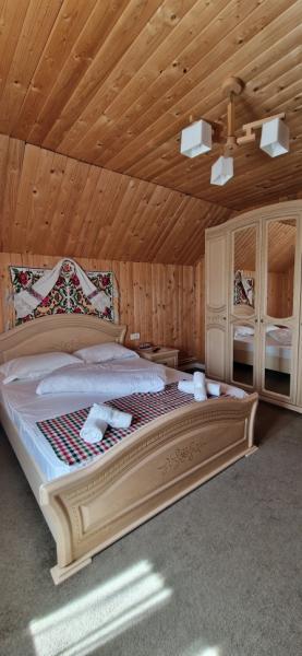 Pension VASILICA CETERASU from Oncesti, Maramureș picture 30