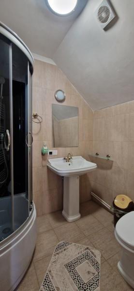 Pension VASILICA CETERASU from Oncesti, Maramureș picture 31