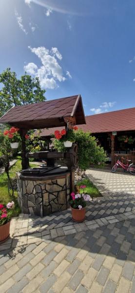 Pension VASILICA CETERASU from Oncesti, Maramureș picture 6