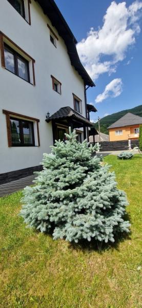 Pension VASILICA CETERASU from Oncesti, Maramureș picture 7