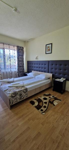 Pension CASA HOBAN from Sighetu Marmatiei, Maramureș picture 16