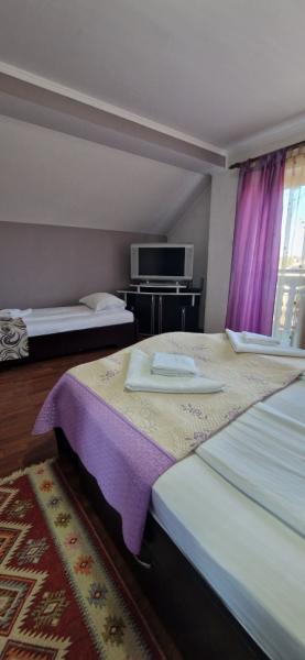 Pension CASA HOBAN from Sighetu Marmatiei, Maramureș picture 23